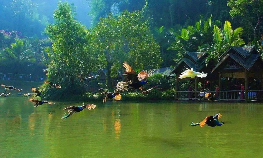 拯救可爱小怪